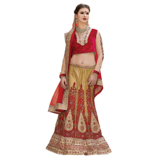 Triveni Awesome Golden Colored Embroidered Net Lehenga Choli